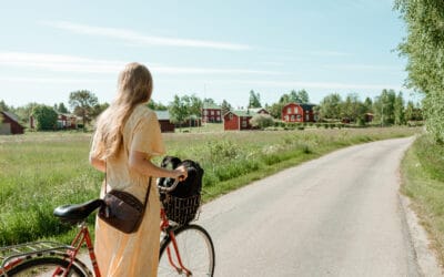 3 projekt samt 2 förstudier beviljade!