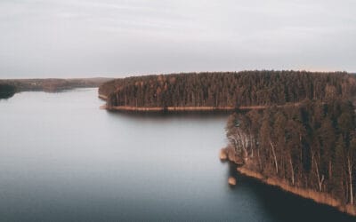LAG-styrelsen möts gällande intresseanmälan