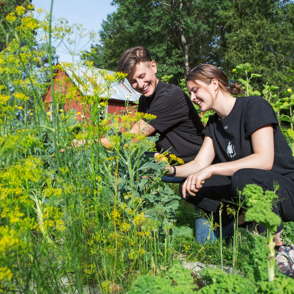 Hållbar utveckling i umeåregionen