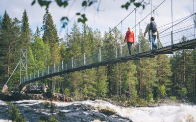Har du idéer för den lokala utvecklingen i Umeåregionens landsbygder?
